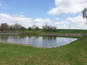 20220426_125757.jpg