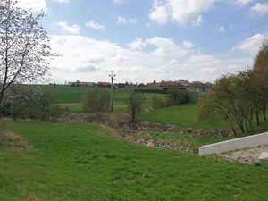 20220426_130149.jpg