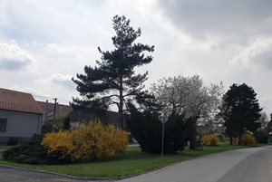 20220426_141858.jpg
