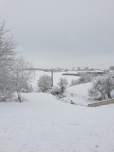 20211128_100718.jpg