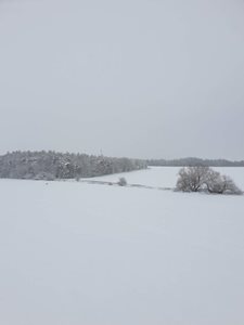 20211128_101020.jpg
