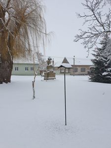 20211209_105928.jpg