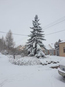 20211209_110147.jpg