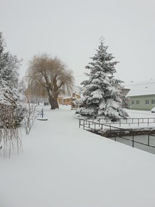 20211209_134038.jpg