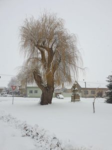 20211209_134138.jpg