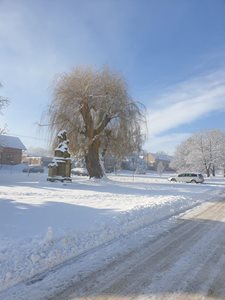 20211210_101658.jpg