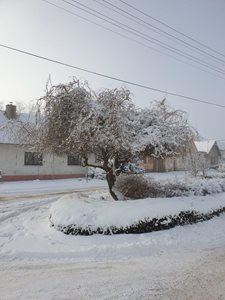 20211210_103509.jpg