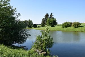 DSC_0283.jpg