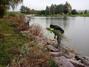 IMG_20211003_085036.jpg